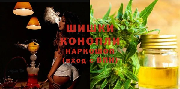 ГАЛЛЮЦИНОГЕННЫЕ ГРИБЫ Кодинск