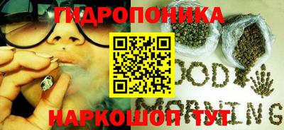 кокс Кандалакша