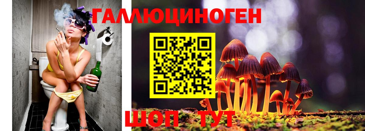 Лысьва  Галлюциногенные грибы ЛСД  Вход с VPN 